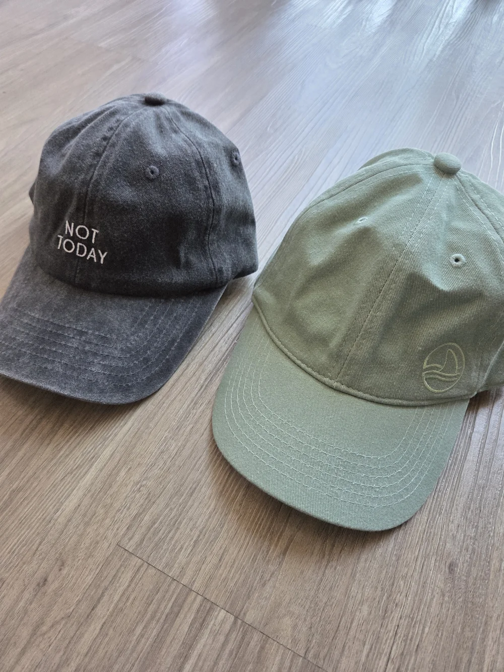 NWOT Caps: Arey Not Today Charcoal Gray & Biossance Sage Green Dad Hats Lot of 2